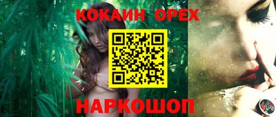 МДПВ Кингисепп