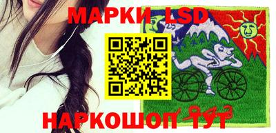 МДПВ Кингисепп