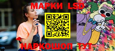 шишки Кимры