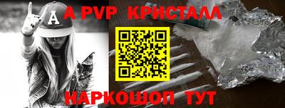 шишки Кимры