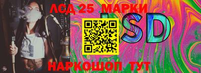шишки Кимры