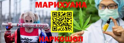 МДПВ Кингисепп