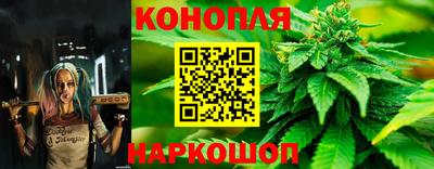 МДПВ Кингисепп