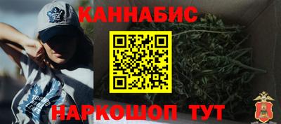 МДПВ Кингисепп