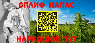 шишки Кимры