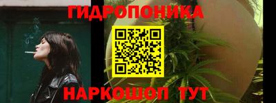 шишки Кимры