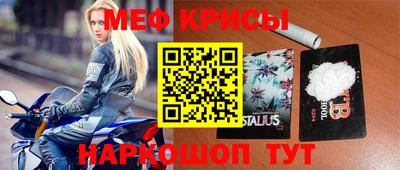 шишки Кимры
