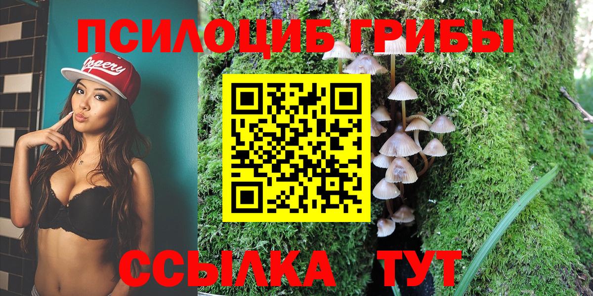 Псилоцибиновые грибы MAGIC MUSHROOMS  Псилоцибиновые грибы GOLDEN TEACHER  Кудрово  Вход с VPN 