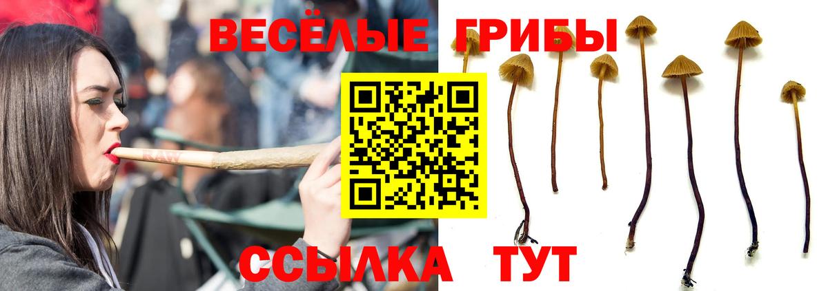 Кудрово  Канабис  ГАШИШ  Как найти закладки?  Вход с VPN  МЕФ кристаллы  КОКАИН 